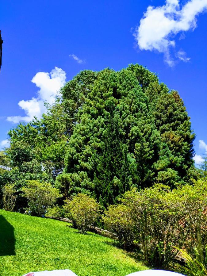 Quinta Das Flores Hospedaria Campos do Jordão Eksteriør billede